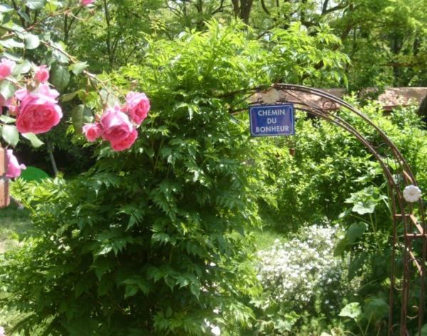 La chambre d'hôte Au Gré Du Temps Montlaur  Exterior foto